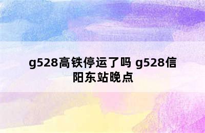 g528高铁停运了吗 g528信阳东站晚点